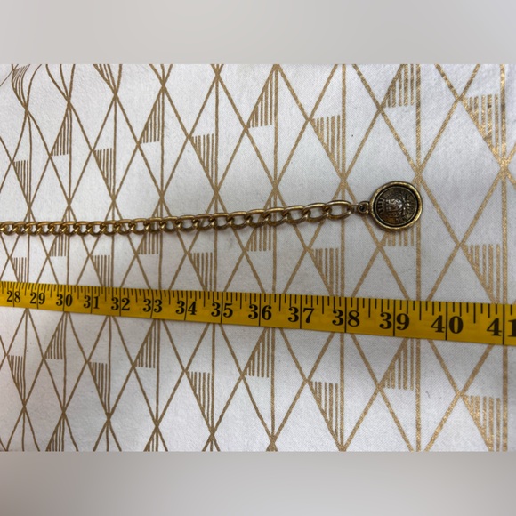 Gold Medallion Vintage Chain Link Belt main image 5